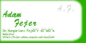 adam fejer business card